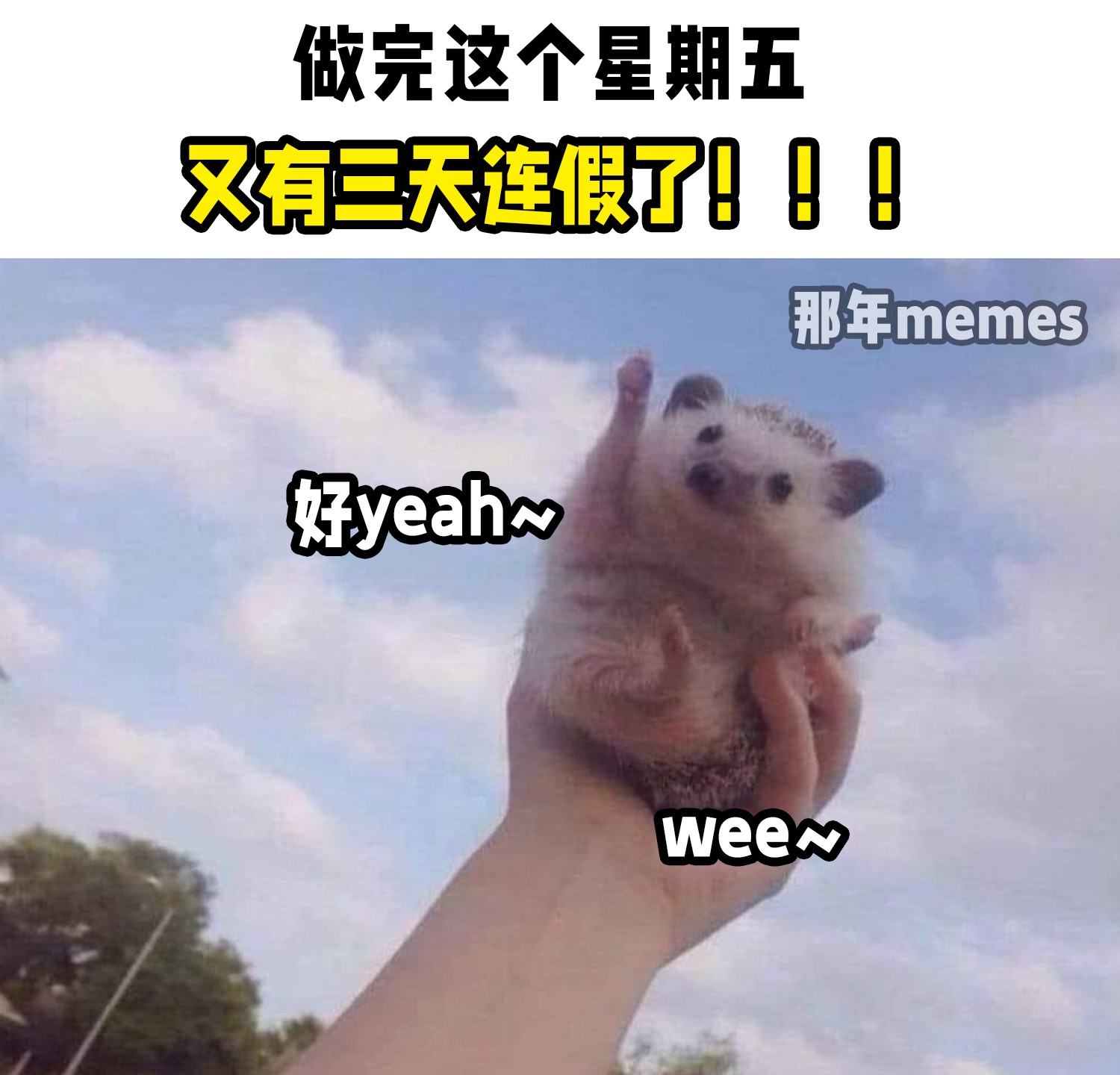 154813adefladmz6mlrmw0.jpg