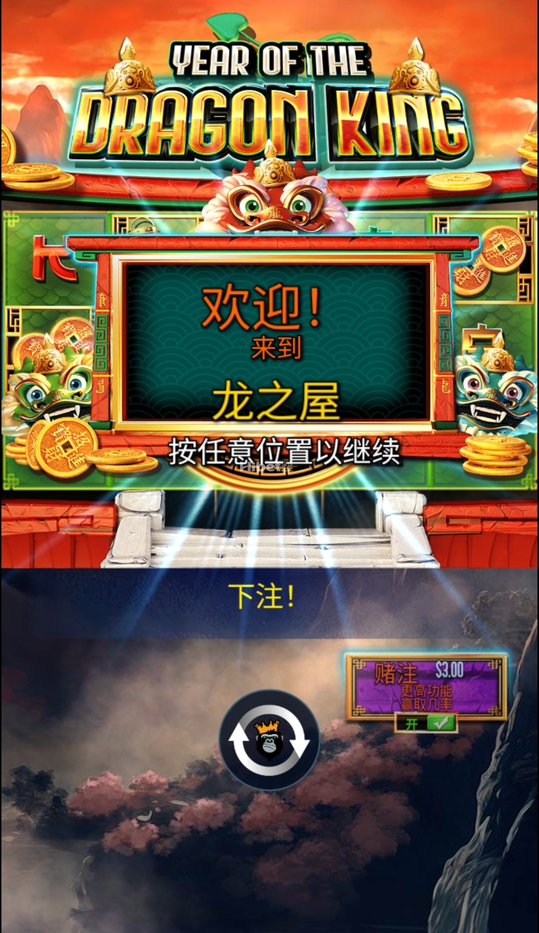 215810vxmkudxqdftd3ddm.jpg