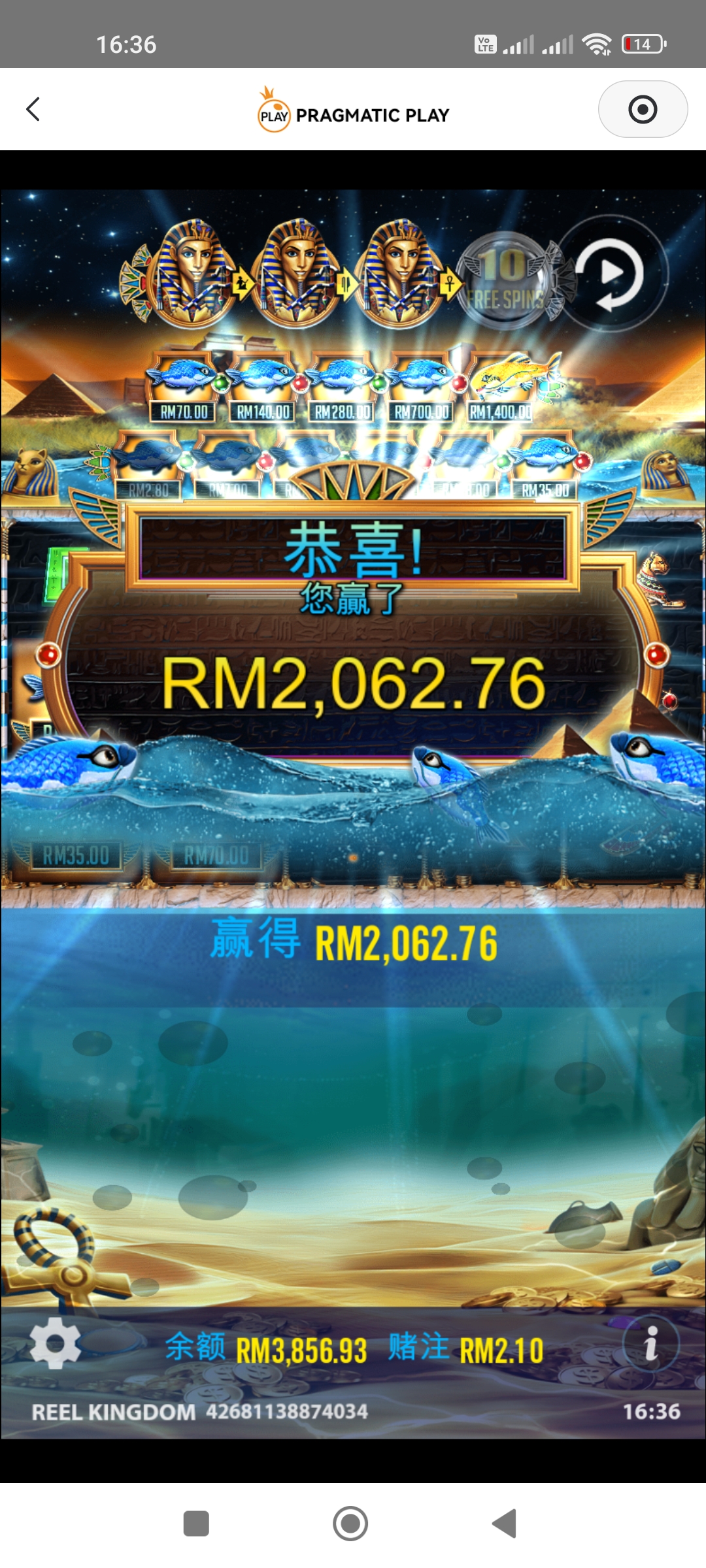 164035xzsusq1qrngrxpio.jpg