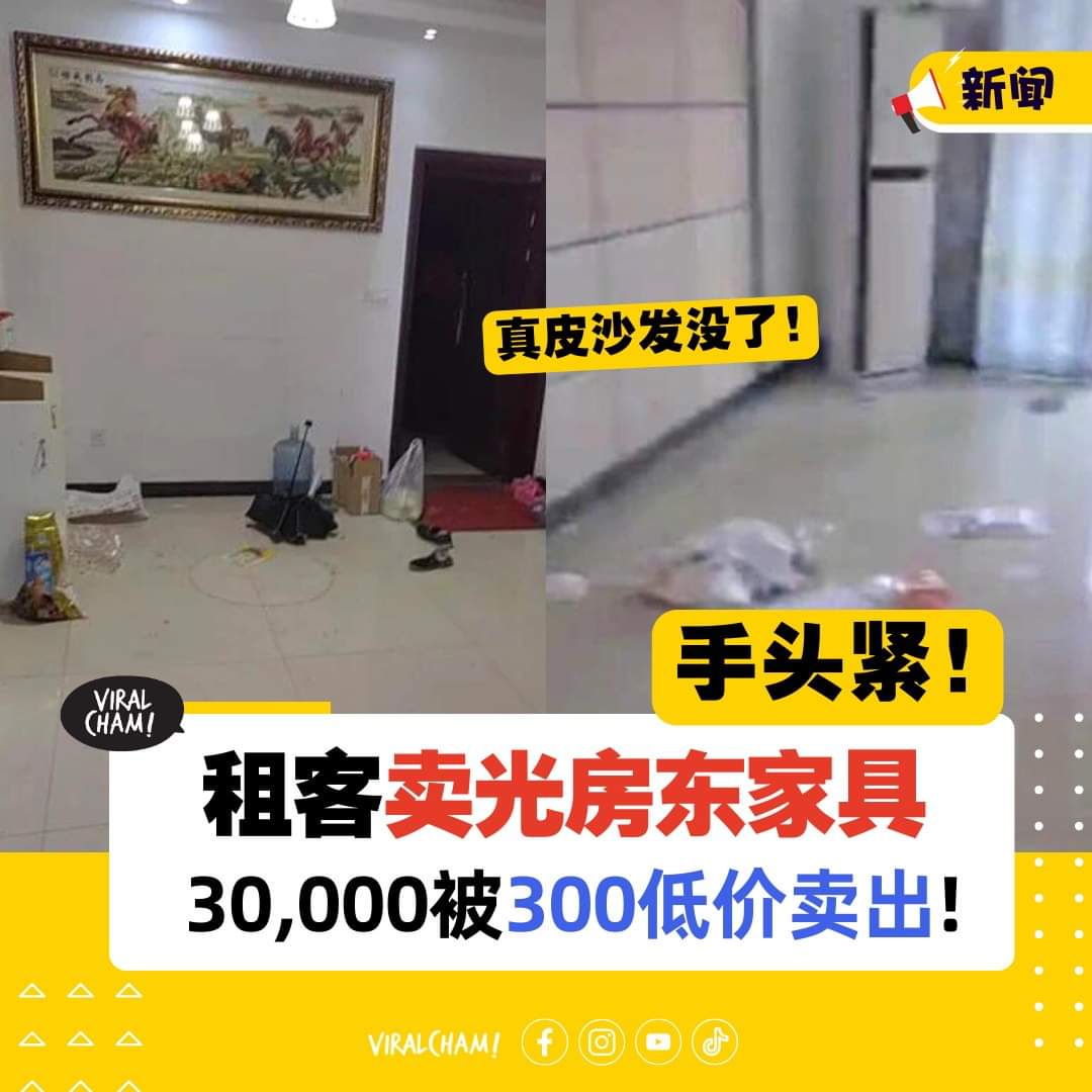 154517b8zli7cvw78ucl08.jpg
