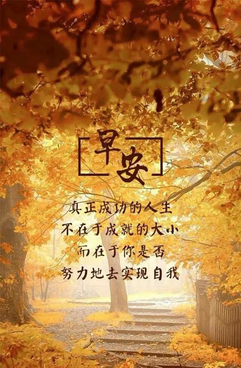 108a3437ba1de52a03a148bcad3b2150.jpg