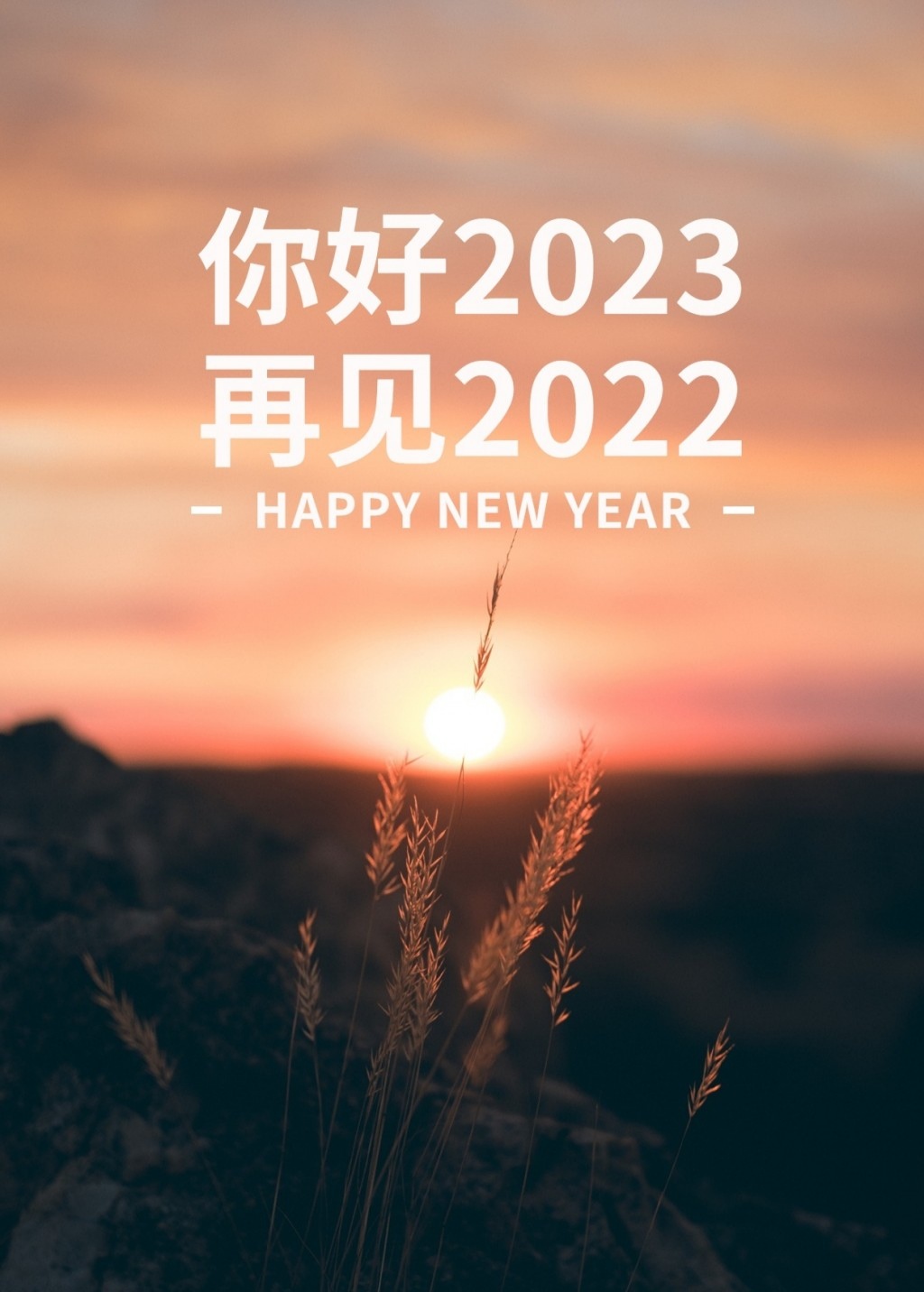072349j055igty55iszz40.jpg