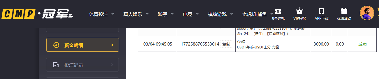 03041.png
