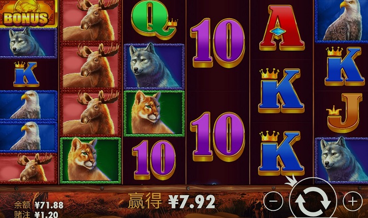 7.jpg