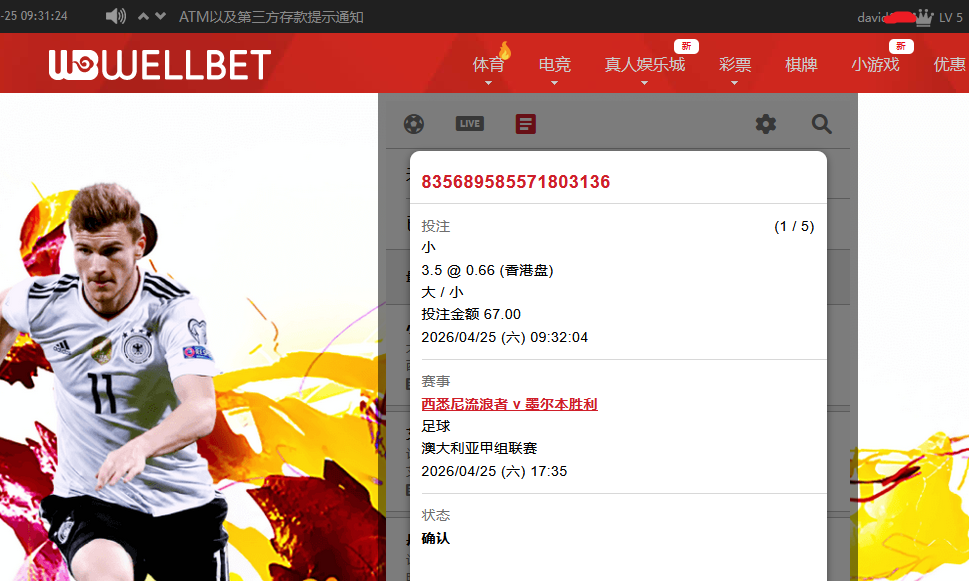 澳洲甲小球.png