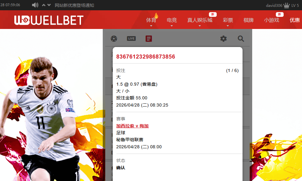 吉祥坊下注55.png